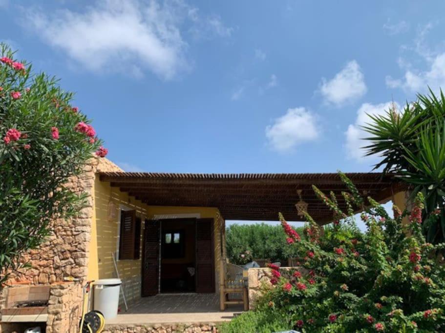 Villa Maveda, Un Dammuso Immerso Nel Verde Lampedusa Exterior photo
